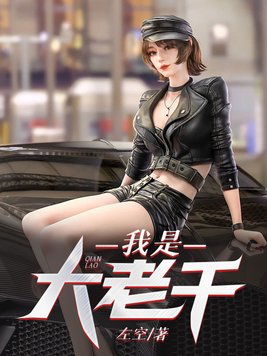 我是大老板说明书